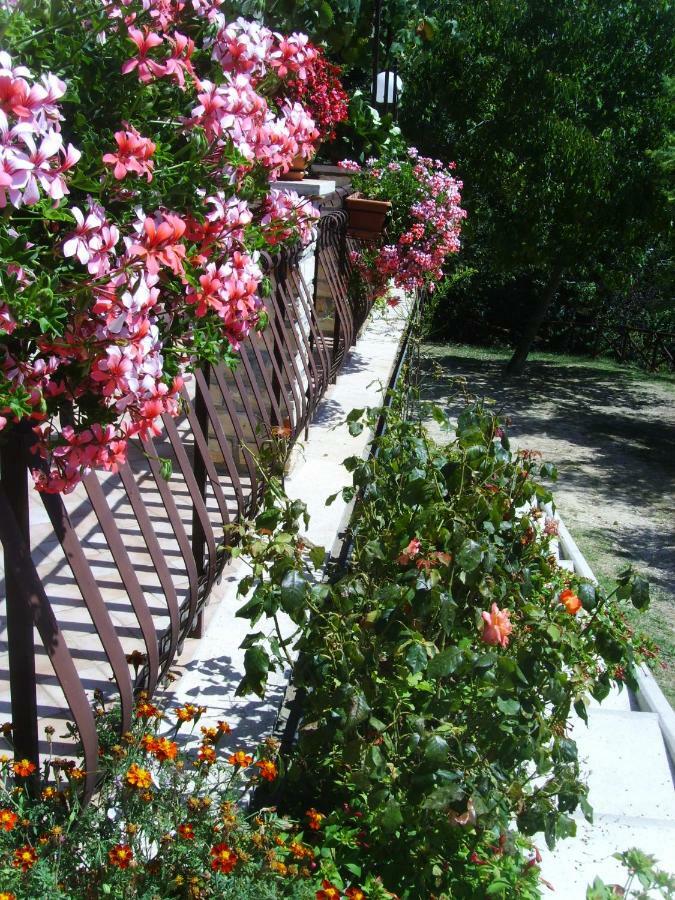 Bed and Breakfast Casa Lieta Subiaco Exteriér fotografie